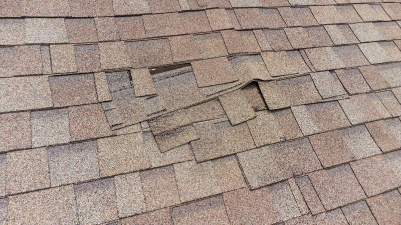 Asphalt Shingle Repair Image 12