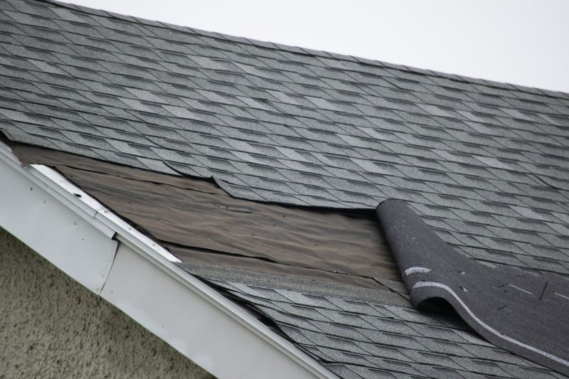 Asphalt Shingle Roof Repair Image 2
